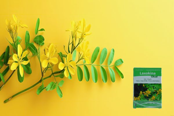 Laxokina 60 cápsulas - Imagen 4